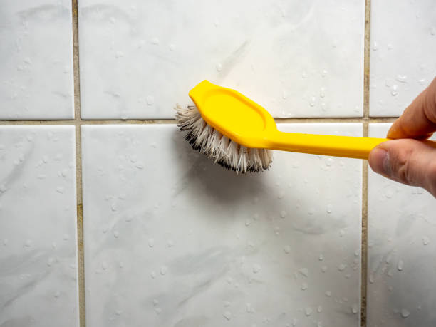 Best Mold Cleaning Services  in Locust Fork, AL