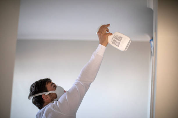 Best Toxic Mold Removal  in Locust Fork, AL